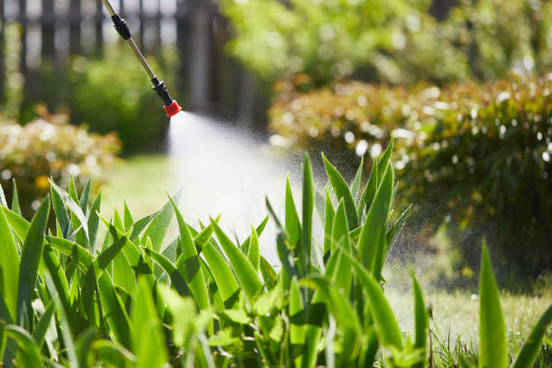 24/7 Emergency Ant Control experts in Doral, FL