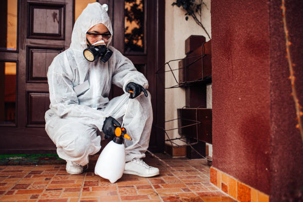Reliable Ant Control contractor in Doral, FL by Show Me Pest Control